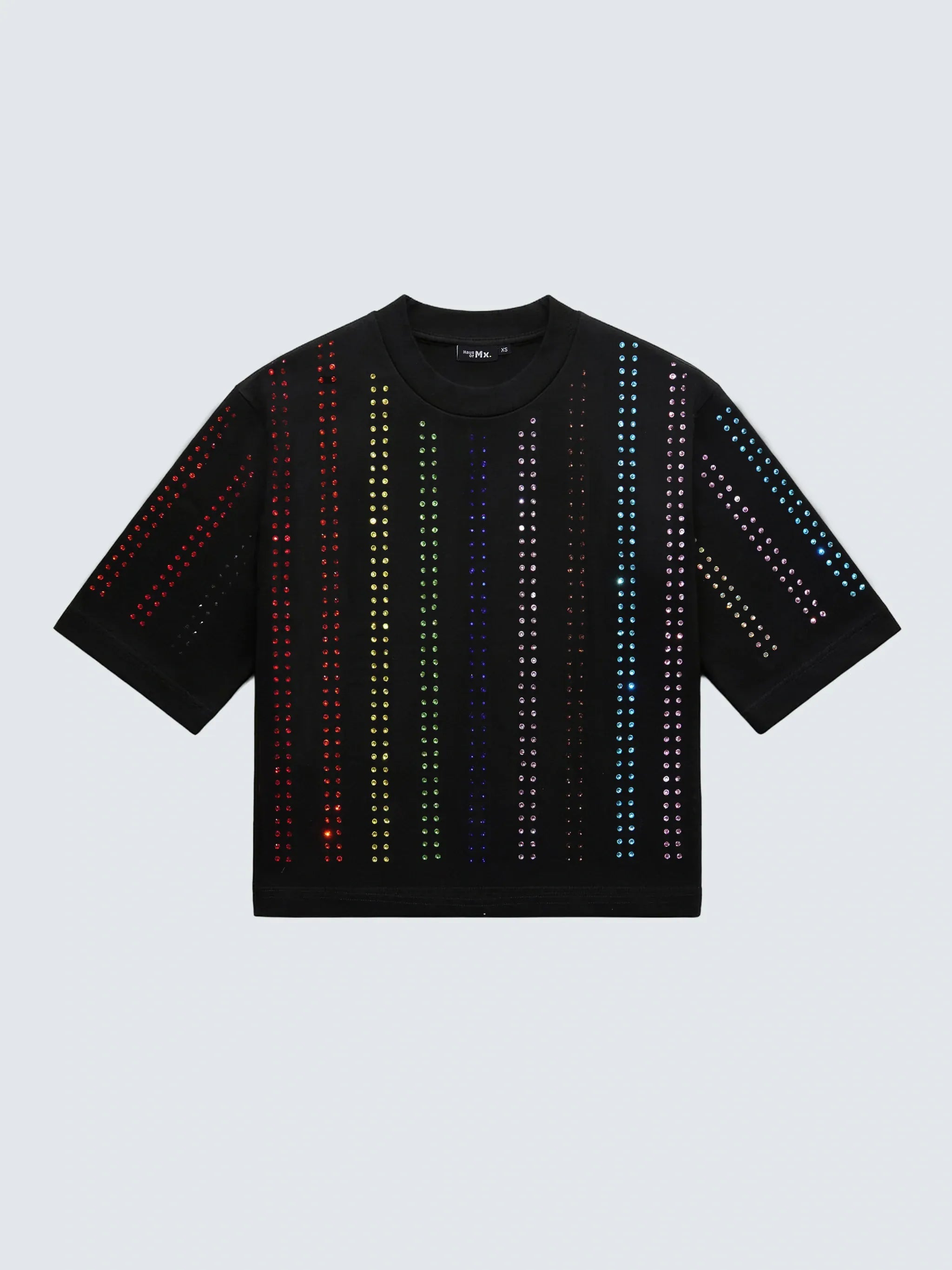 Haus of Mx. Proud T-Shirt