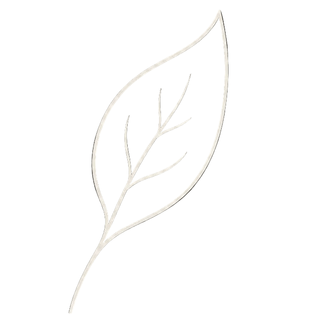 Leaf Icon