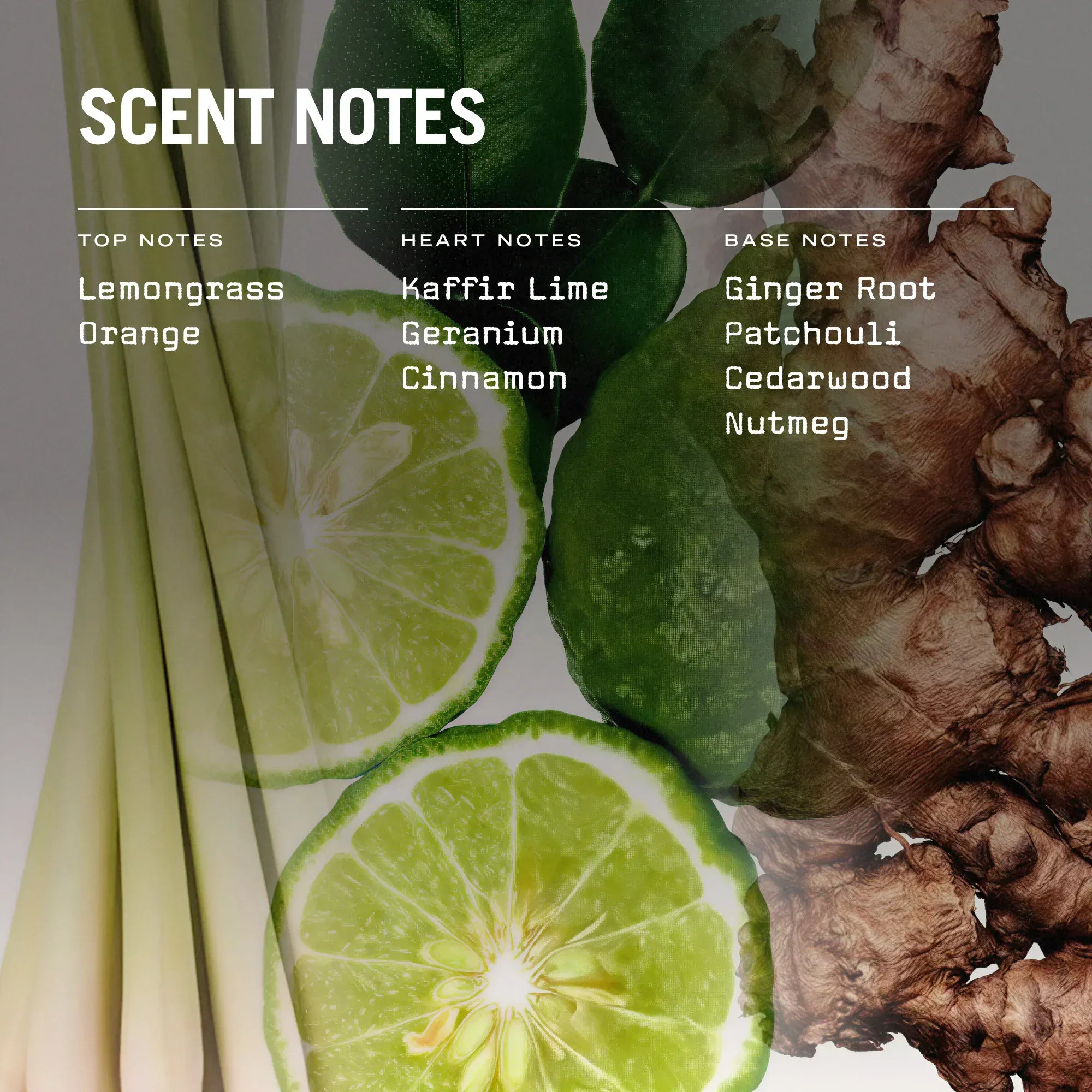 Russell + White Eastern Garden Scented Soy Candle