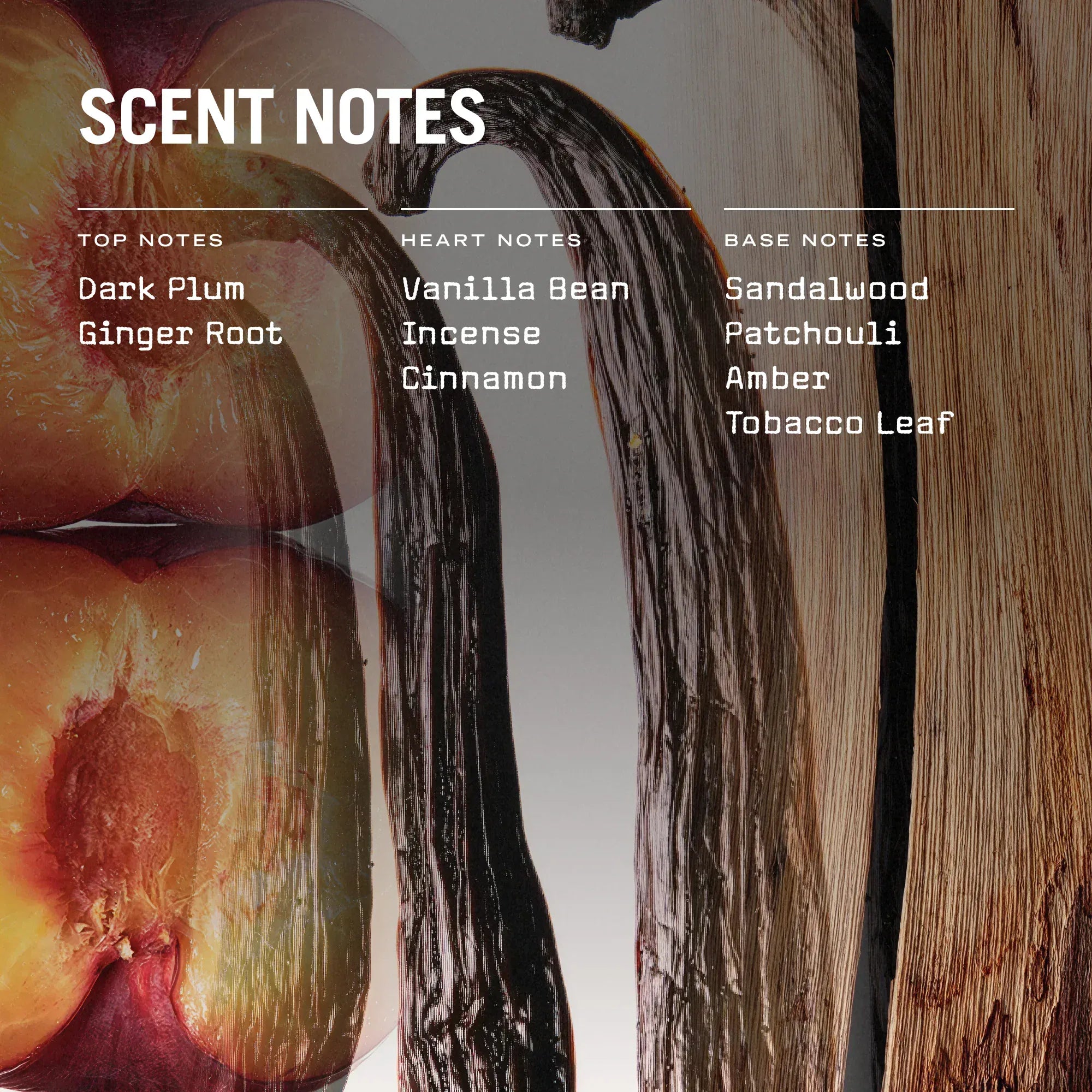 Russell + White San Marco Reed Diffuser
