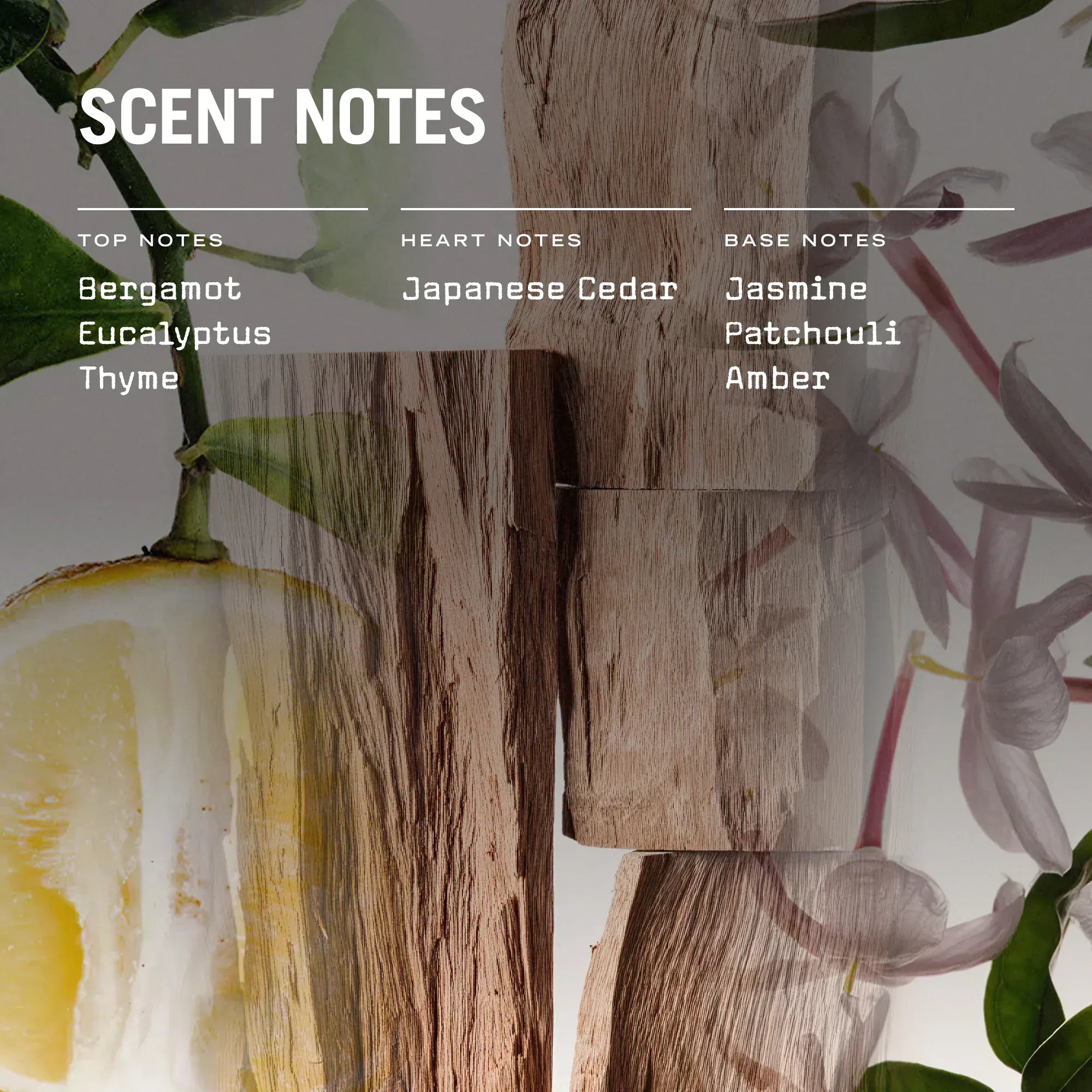 Russell + White Sugi Reed Diffuser